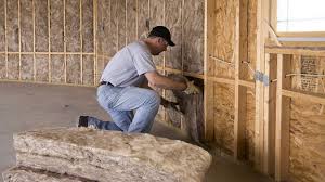 Best Radiant Barrier Insulation  in Prior Lake, MN